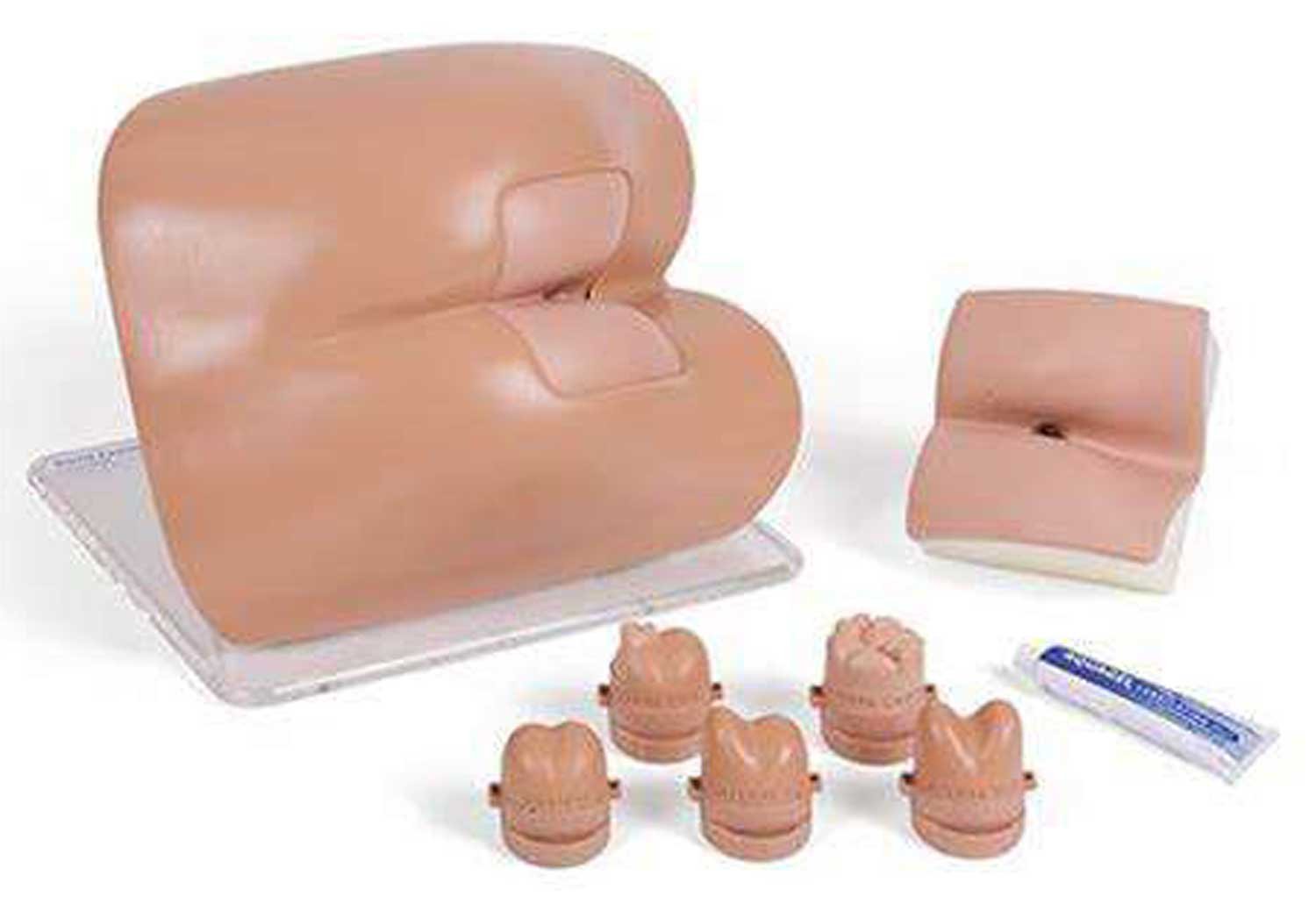 Rectal Examination Trainer