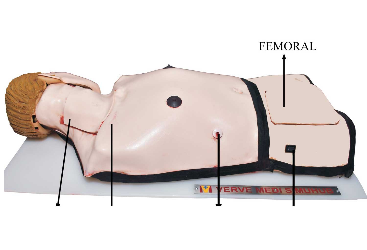 Central Line Catheterisation Trainer