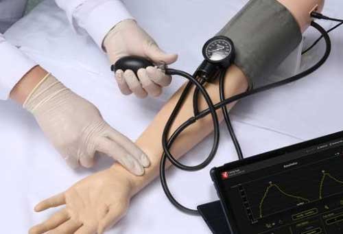 BP/Pulse assessment simulator