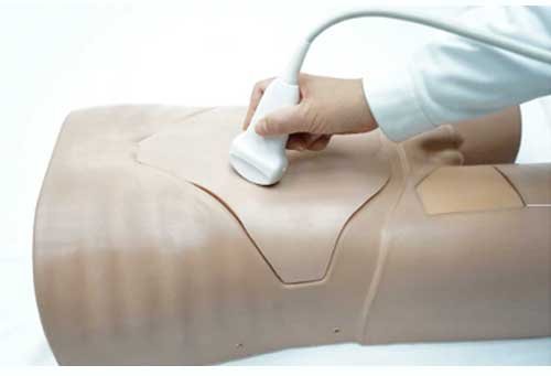 Abdominal Ultrasound Phantom