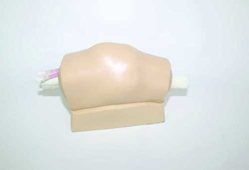 Knee Arthrocentesis Ultrasound Training Model
