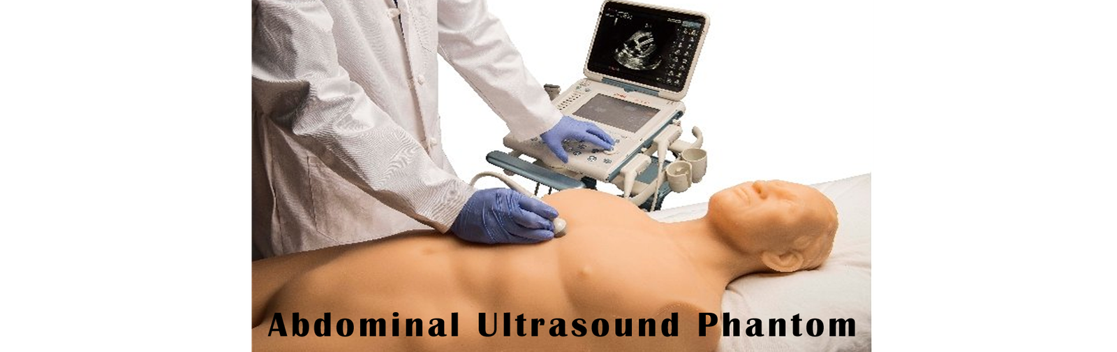 Abdominal Ultrasound Phantom