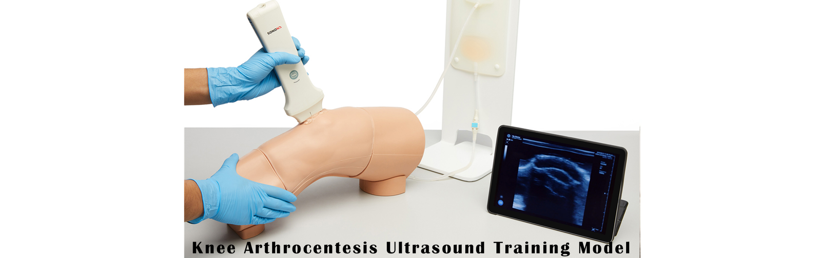 Knee Arthrocentesis Ultrasound Training Model